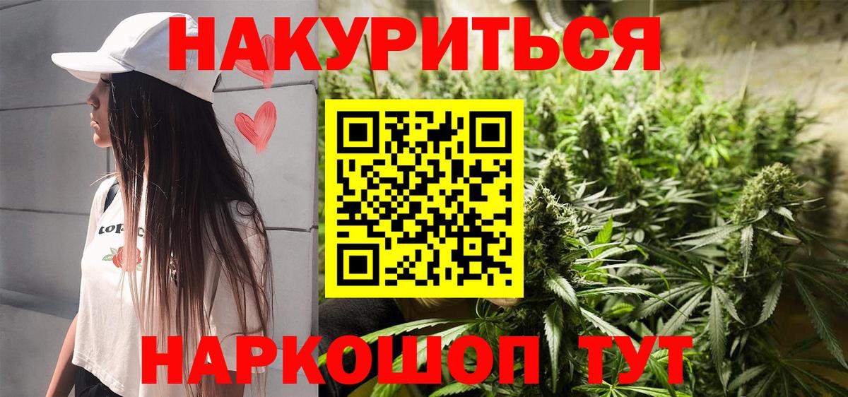 Шишки марихуана сатива  Марихуана план  Гулькевичи  Вход с VPN  Бошки марихуана SATIVA & INDICA 